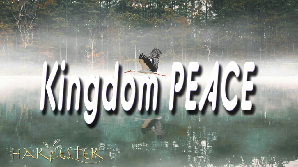 Apostle Aje Pelser Sermon on Peace