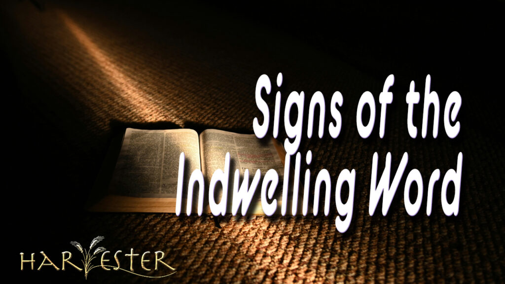 Sermon by Apostle Aje Pelser